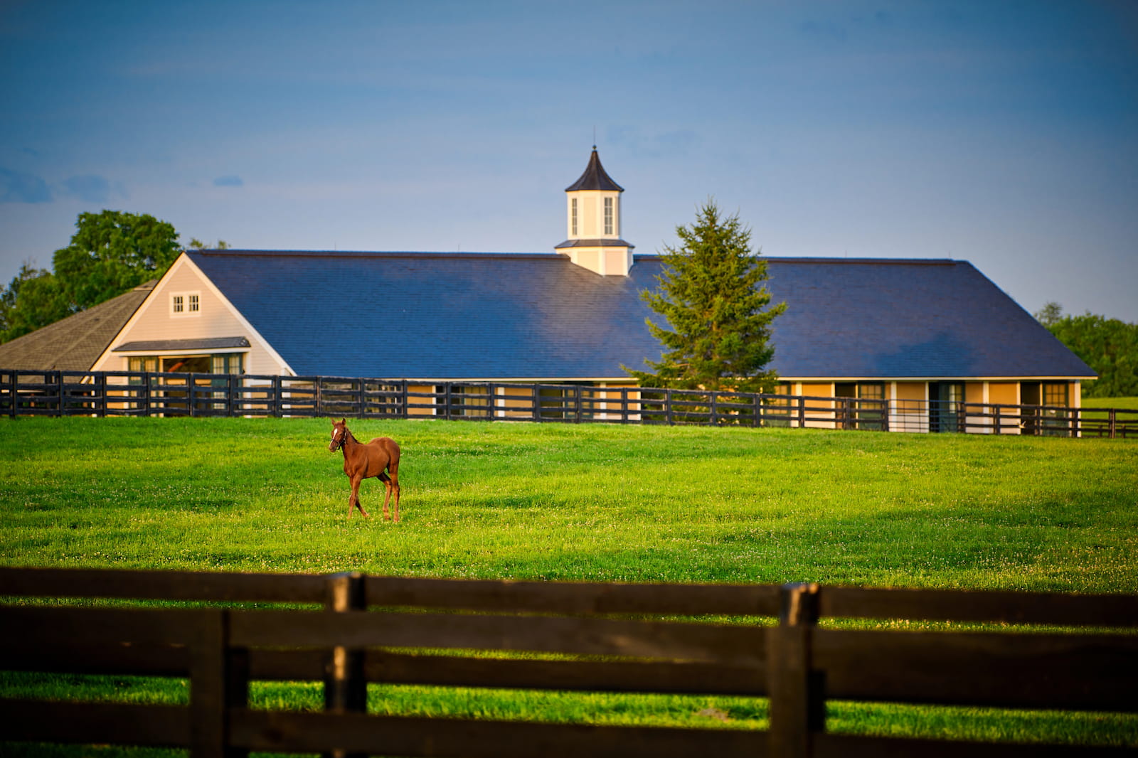 lexington ky horse farm